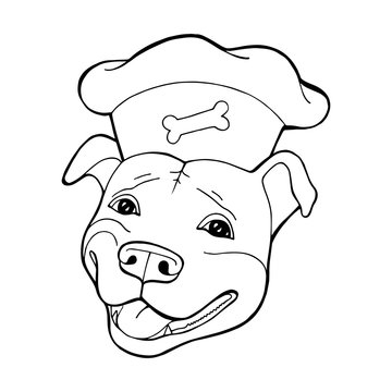 Pit bull Terrier in a chef's cap. Coloring book page. Vector illustration. Vector logo pure-bred
