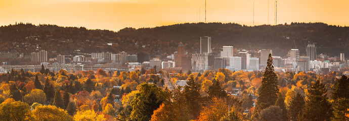Portland downtown skyline with autumn trees view from Mt. Tabor's water reservoirs
