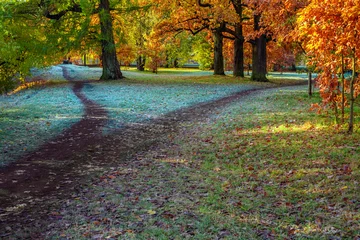 Papier Peint photo Route en forêt Splitting the footpath in the park. Autumn landscape