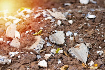 The debris from the cement wall Placed on the ground