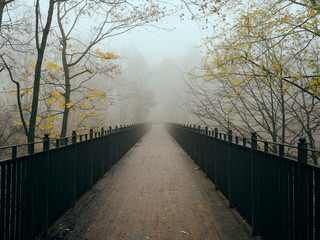 foot bridge in the fog in the fall. Gomel, Belarus