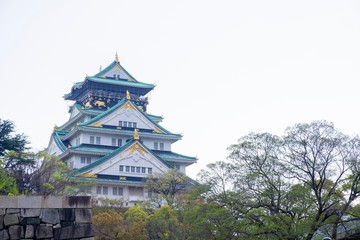 Fototapeta premium Osaka castle Japan, Landmark in Osaka, Japan