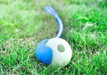 Ball launcher dog toy for training dog. Swing then ball will release for dog to catch up. Hand free...