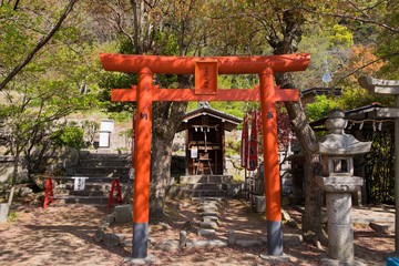 Torii gate before go to Chureito Pagoda Shrine , Japan