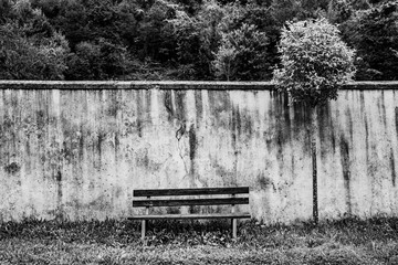 bench and tree one