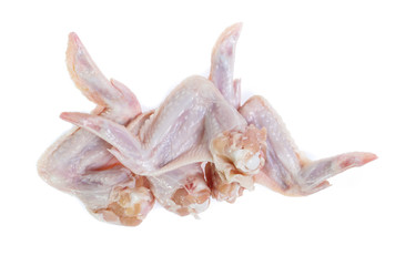 Raw chicken on cutting board on white background
