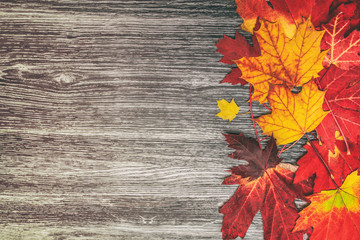 Autumn leaves background top view of old wooden rustic wood background texture and red and yellow foliage maple leaf. Fall season concept.