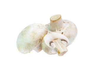 Fototapeta na wymiar Mushroom champignon isolated on white background