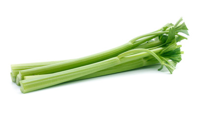 fresh celery isolated on white background