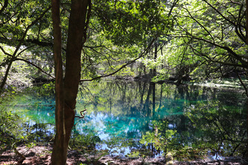 Fototapeta premium 丸池（山形県遊佐町）