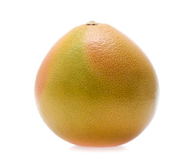 grapefruit  isolated on white
