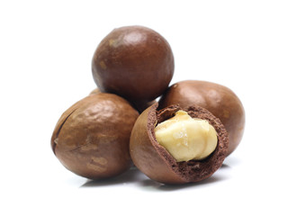 macadamia nuts on white background
