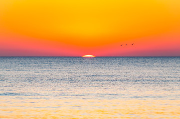 Fototapeta na wymiar The last seconds of the amazing sundown. Three birds flying above the horizon, a bit of the sun star sphere is showing up above the sea. Vibrant sunset on Cala Violina beach
