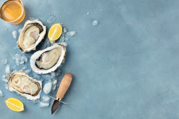 Fresh raw oysters, shotfrom the top with a glass of white wine, lemon slices, a shucking knife and copy space