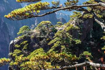 UNESCO World Heritage Site Natural beautiful landscape of Huangshan mountain scenery ( Yellow mountain ) in Anhui CHINA, It is a best of China major tourist destination.