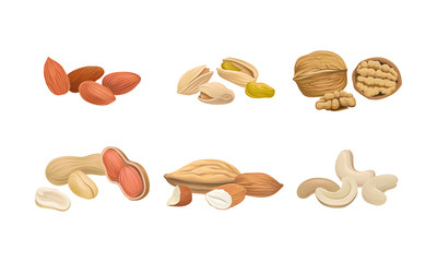 Different Nuts Set Isolated On White Background