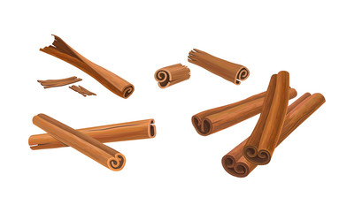 Cinnamon Sticks Vector Set. Cinnamon Barks in Different Positions Isolated on White Background