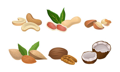 Different Nuts Set Isolated On White Background