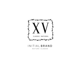 X V XV Beauty vector initial logo, handwriting logo of initial signature, wedding, fashion, jewerly, boutique, floral and botanical with creative template for any company or business.