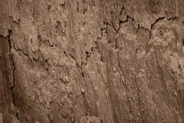 broken wood texture for background