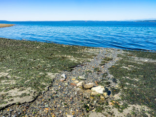 Richmond Beach Saltwater Park