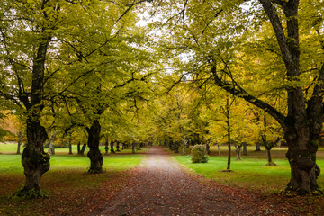 Loviisa, Finland - 7 October 2019: The park on Manor House Malmgard.