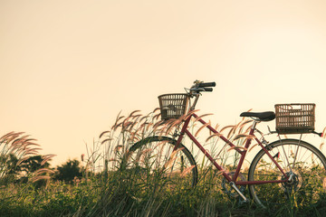 Retro bicycle in fall season grass field, warm meadow tone