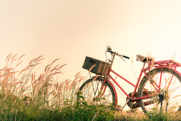 Retro bicycle in fall season grass field, warm meadow tone