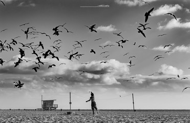 Mann füttert Vögel am Strand von Venice Beach, CA