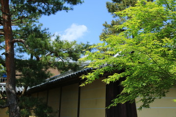 京都　大覚寺