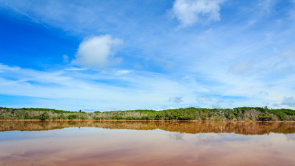 paisaje