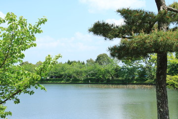 京都　大覚寺(大沢池)