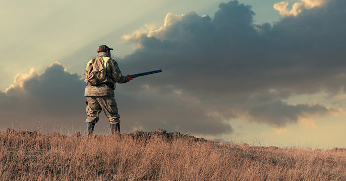 Hunting period, autumn season open. A hunter with a gun in his hands in hunting clothes in the autumn forest in search of a trophy. A man stands with weapons and hunting dogs tracking down the game.	