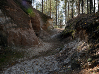 picture with sandstone rock and colorful trees in autumn