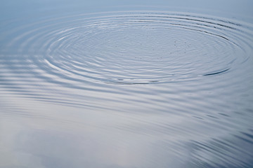 circular waves on the water