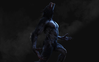 Illustration Werewolf Dark Background