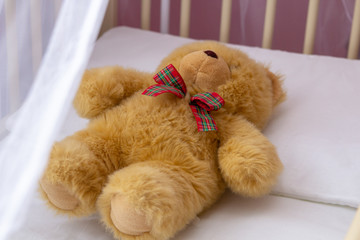 teddy bear in baby crib,in the cradle lies a brown teddy bear, expecting the birth of a baby