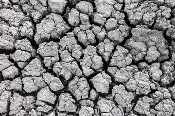 Dried cracked earth  ground texture and background