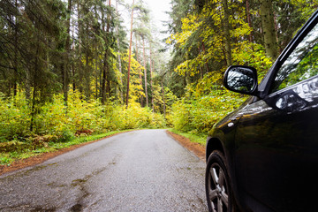 Runaway from civilization to the nature. Black Car on way to autumn forest. Exceptional fall colours - evergreen pines and firs among golden deciduous. 