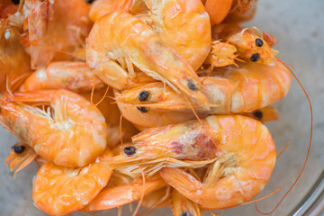 Orange big size shrimps on a glass plate
