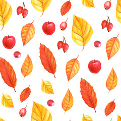 Obraz premium seamless pattern, autumn harvest, watercolor illustration dry leaves on a white background