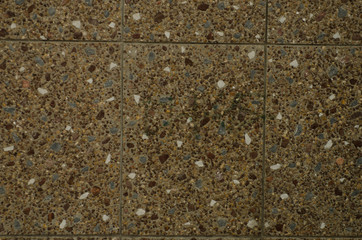 Texture cement wall