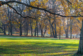Fototapeta premium Autumn in the Treptower Park