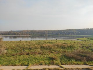 Fototapeta na wymiar River danube canal in Banat Serbia near Smederevo wildlife reserve