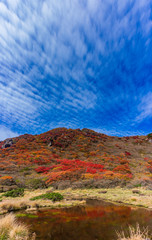秋の九重連山 鮮やかな紅葉