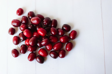 Dogwood is a red berry, useful for health and rich in vitamins. Dogwood on white background with space for text. The concept of healthy and proper nutrition.