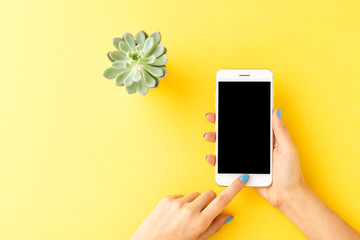 Female hand with blue nails using smart phone with empty screen on yellow background with small flower. Top view