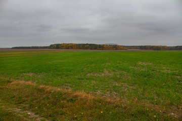 Beautiful autumn landscape