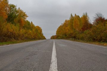 Empty road on a cloudy autumn day