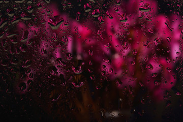 flowers bouquet stand behind the wet glass in autumn